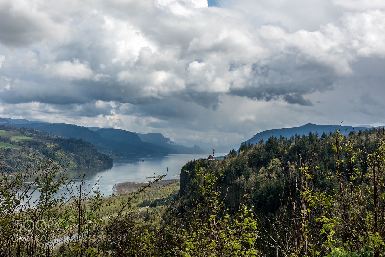Nikon D810 sample photo. Columbia river gorge photography
