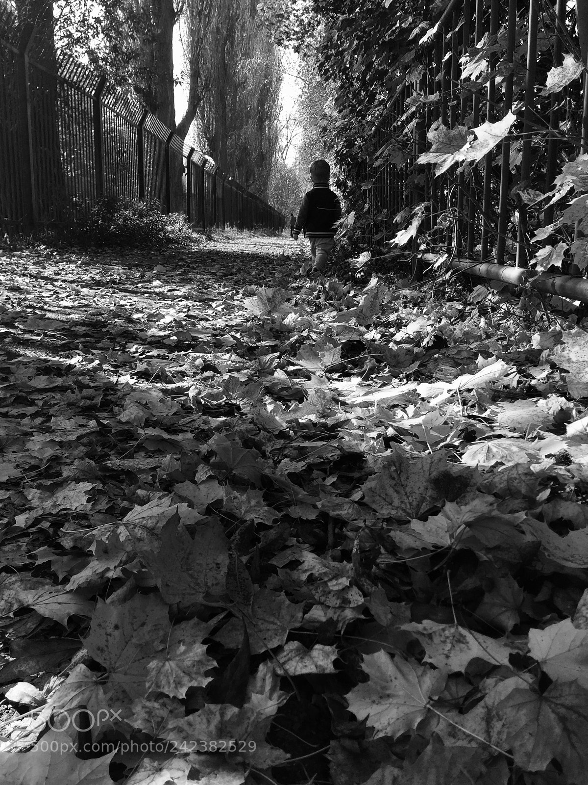 Apple iPhone 6 sample photo. Hugo photography