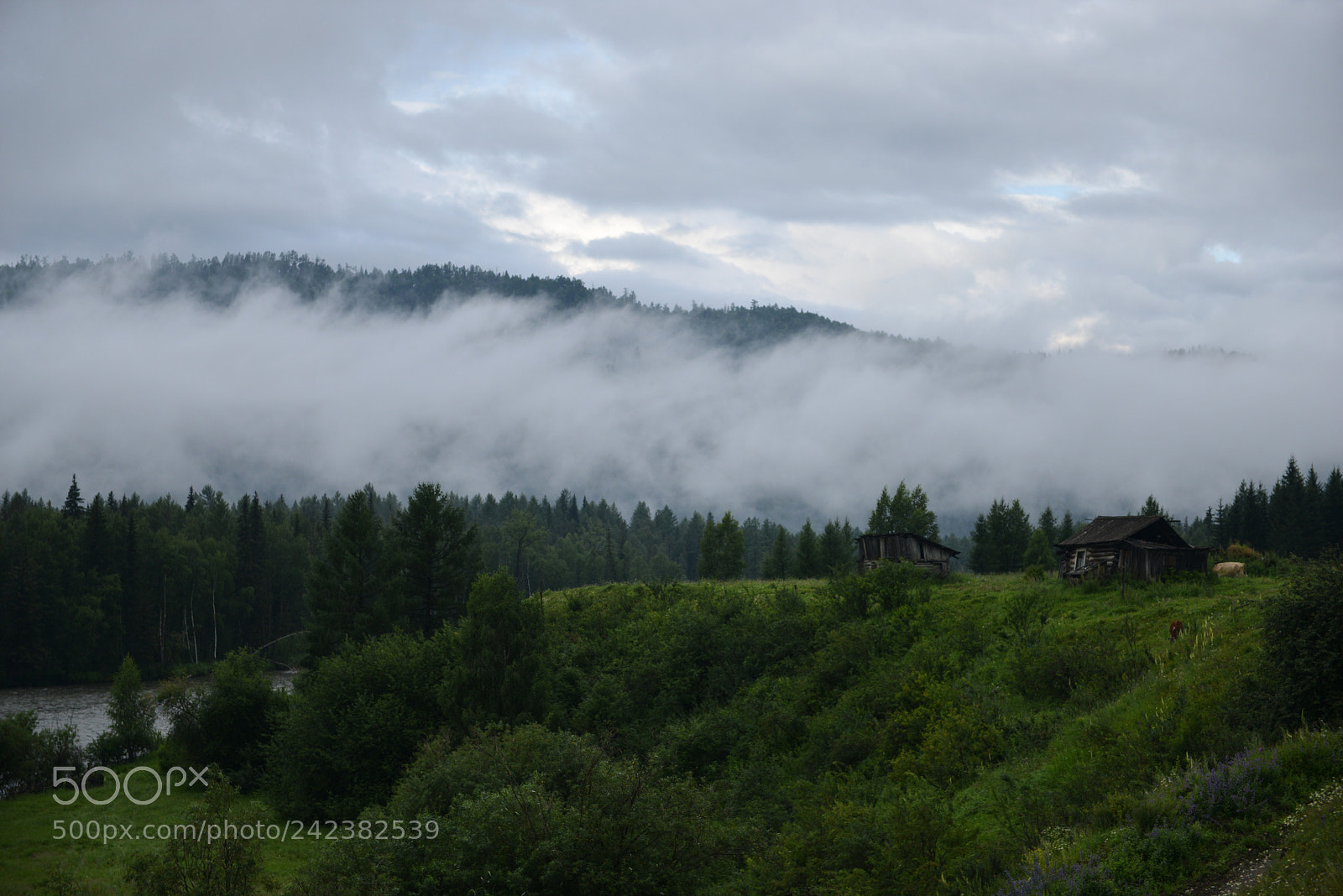 Nikon D800E sample photo. Altai photography