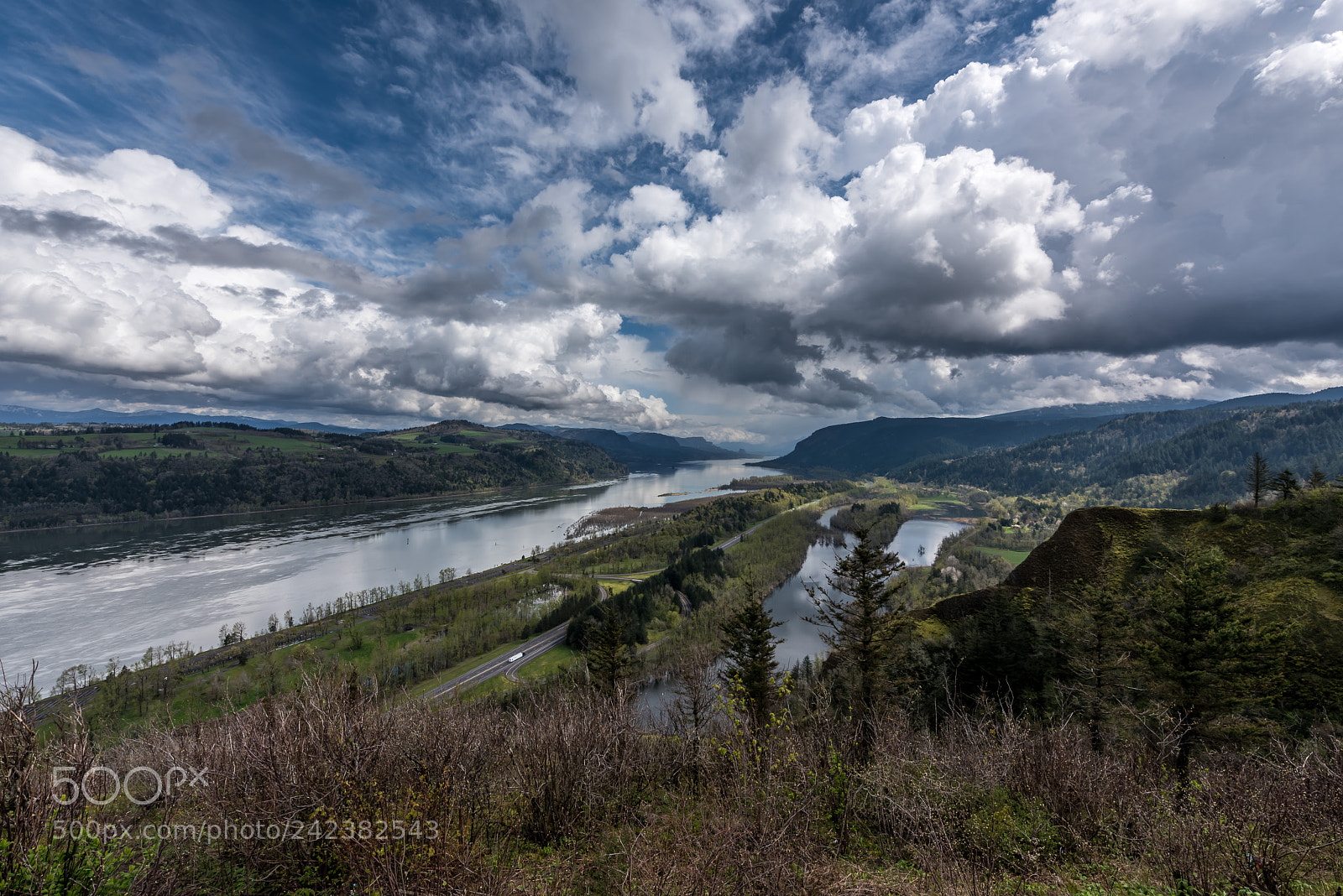 Nikon D810 sample photo. Columbia river gorge photography