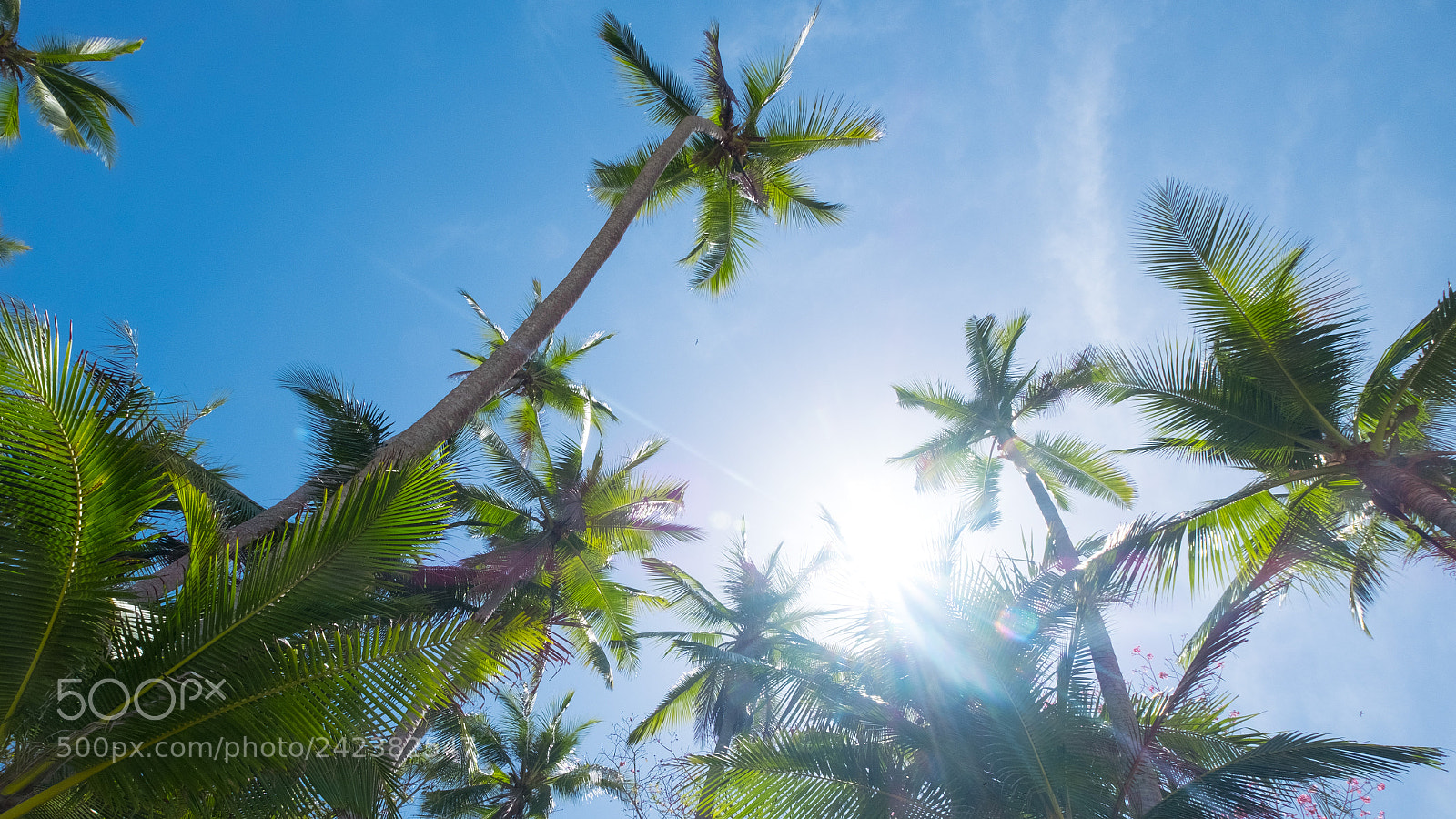 Fujifilm X-Pro2 sample photo. Isla saboga x photography