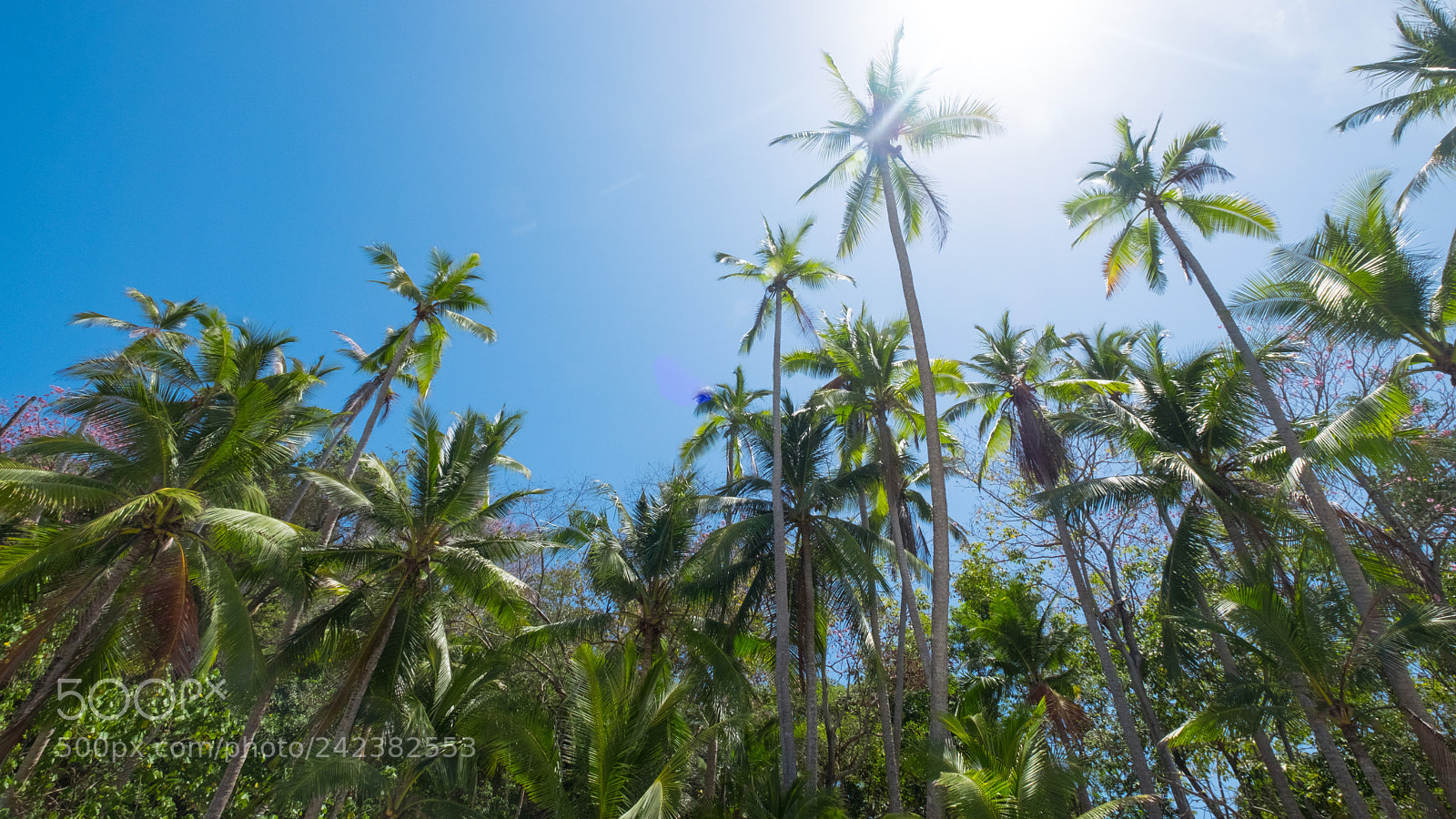 Fujifilm X-Pro2 sample photo. Isla saboga x photography