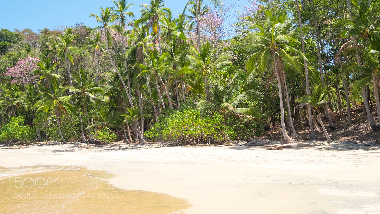 Fujifilm X-Pro2 sample photo. Isla saboga x photography