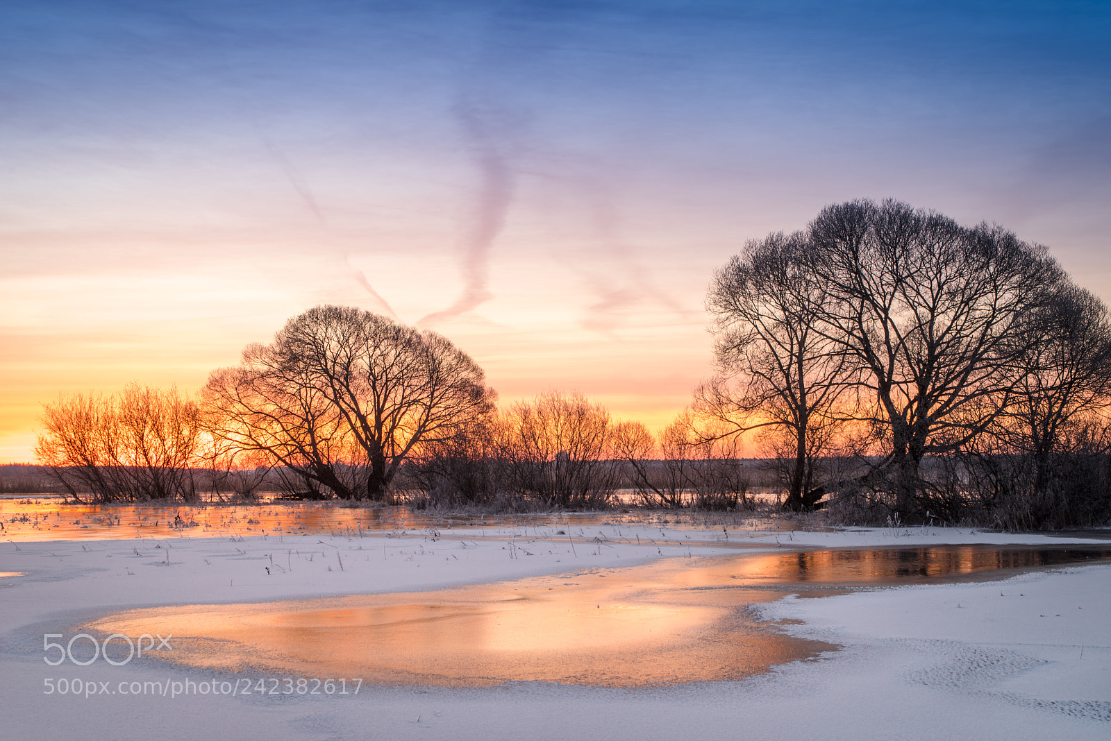 Pentax K-1 sample photo. Ice covered grassland photography