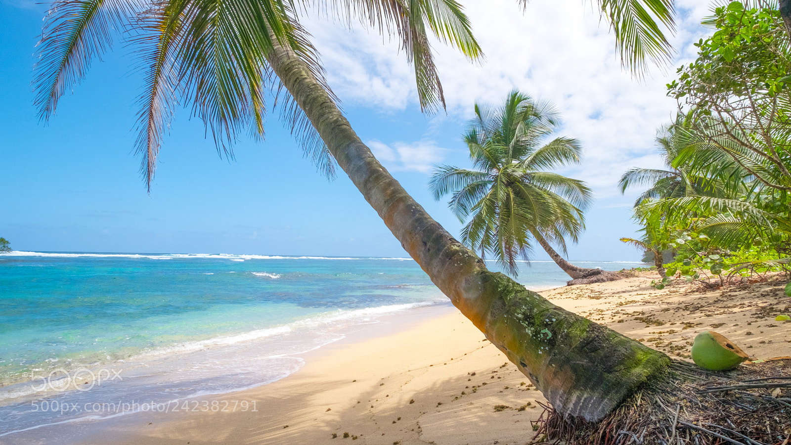Fujifilm X-Pro2 sample photo. Isla bastimentos x photography