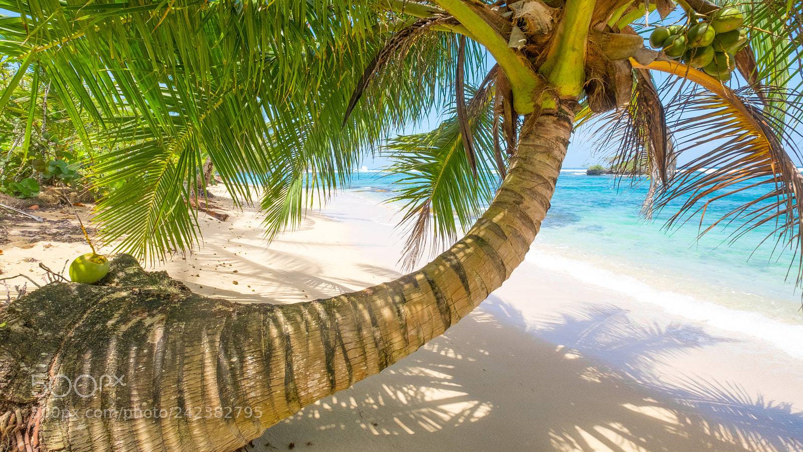 Fujifilm X-Pro2 sample photo. Isla bastimentos x photography