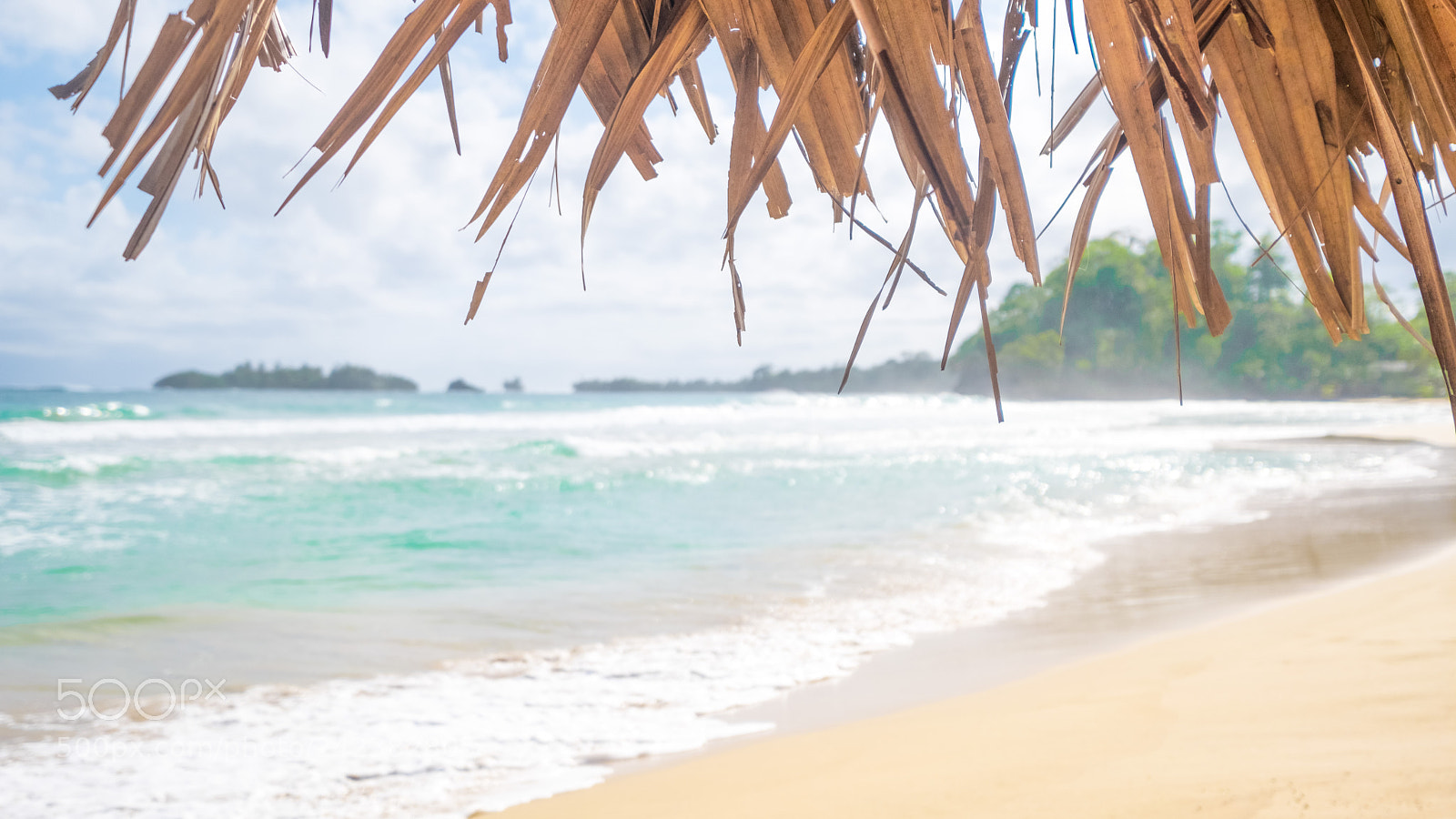 Fujifilm X-Pro2 sample photo. Isla bastimentos x photography