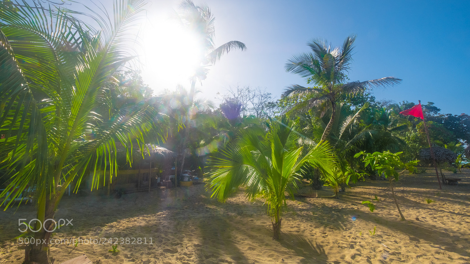 Fujifilm X-Pro2 sample photo. Isla bastimentos x photography