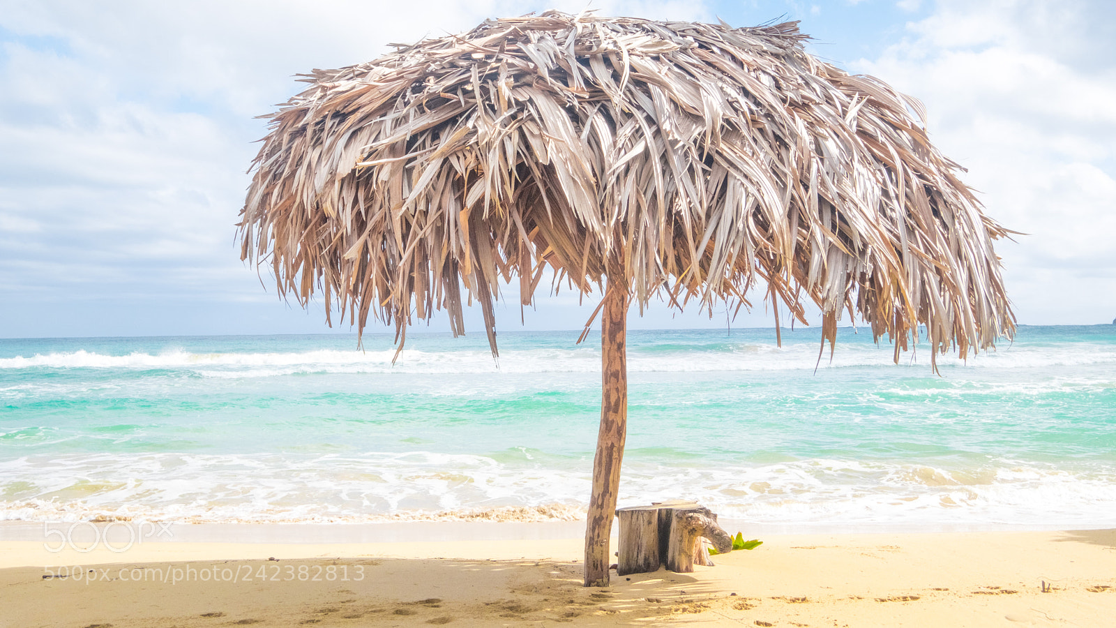 Fujifilm X-Pro2 sample photo. Isla bastimentos x photography