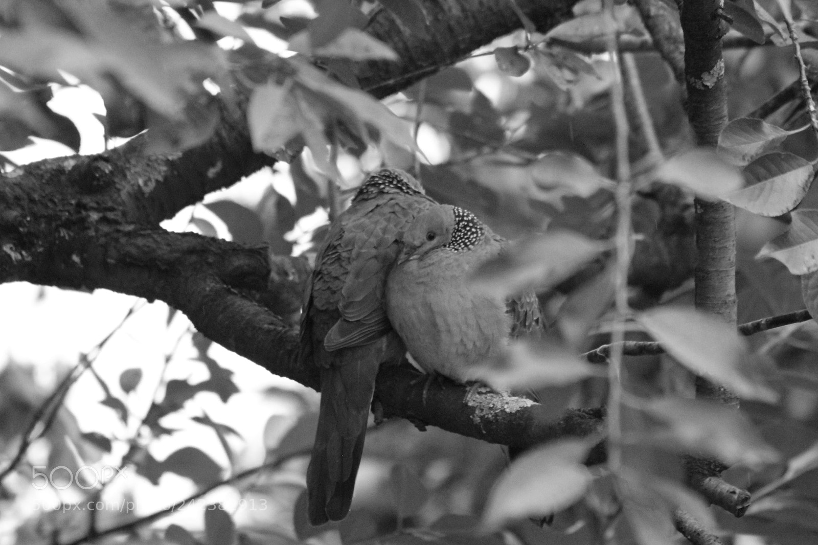 Canon EOS 1300D (EOS Rebel T6 / EOS Kiss X80) sample photo. Untitled photography