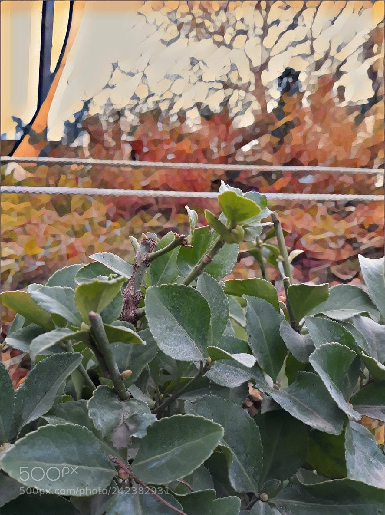 Samsung Galaxy J7 sample photo. Untitled photography