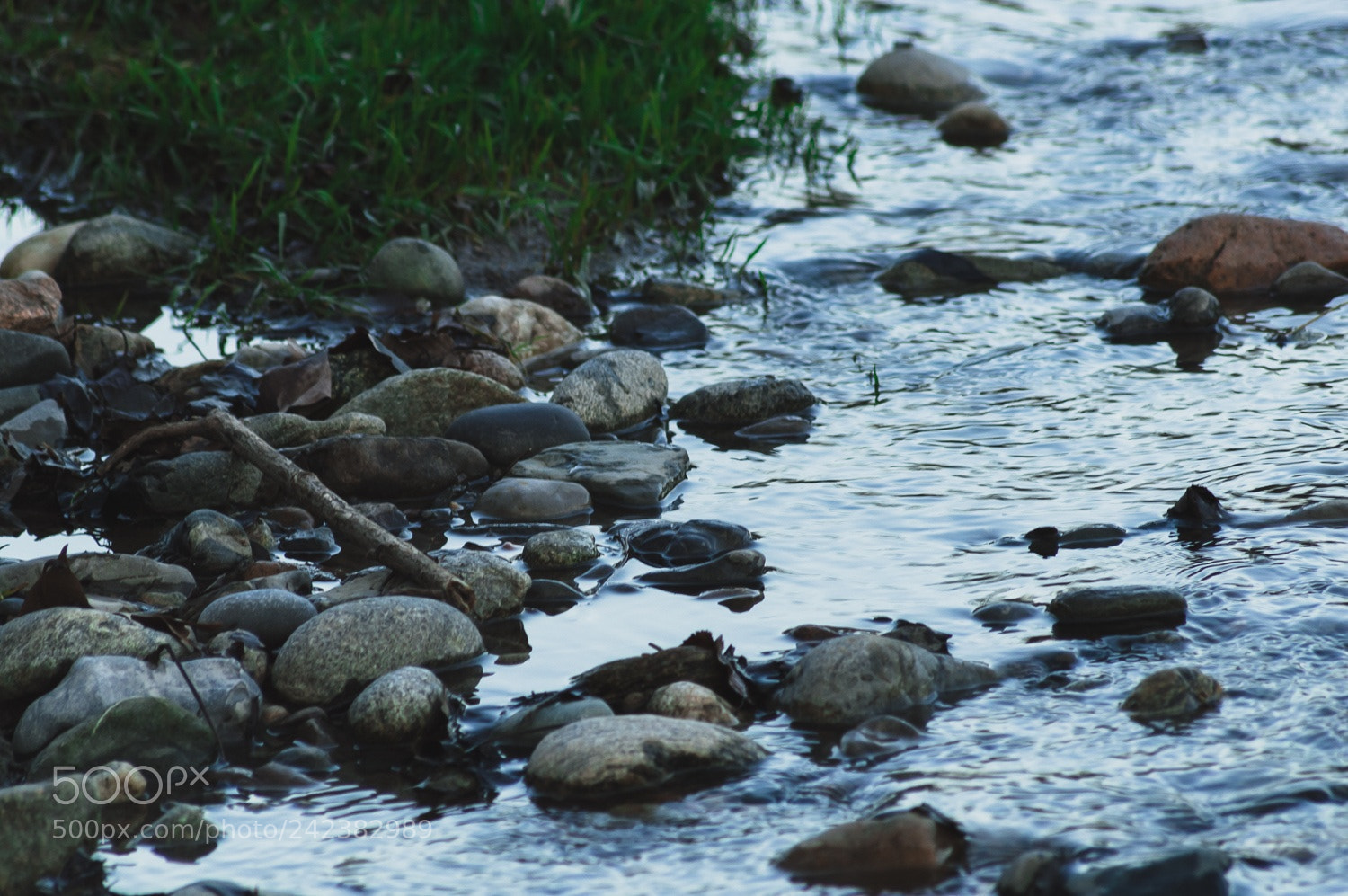 Nikon D3200 sample photo. Pace photography
