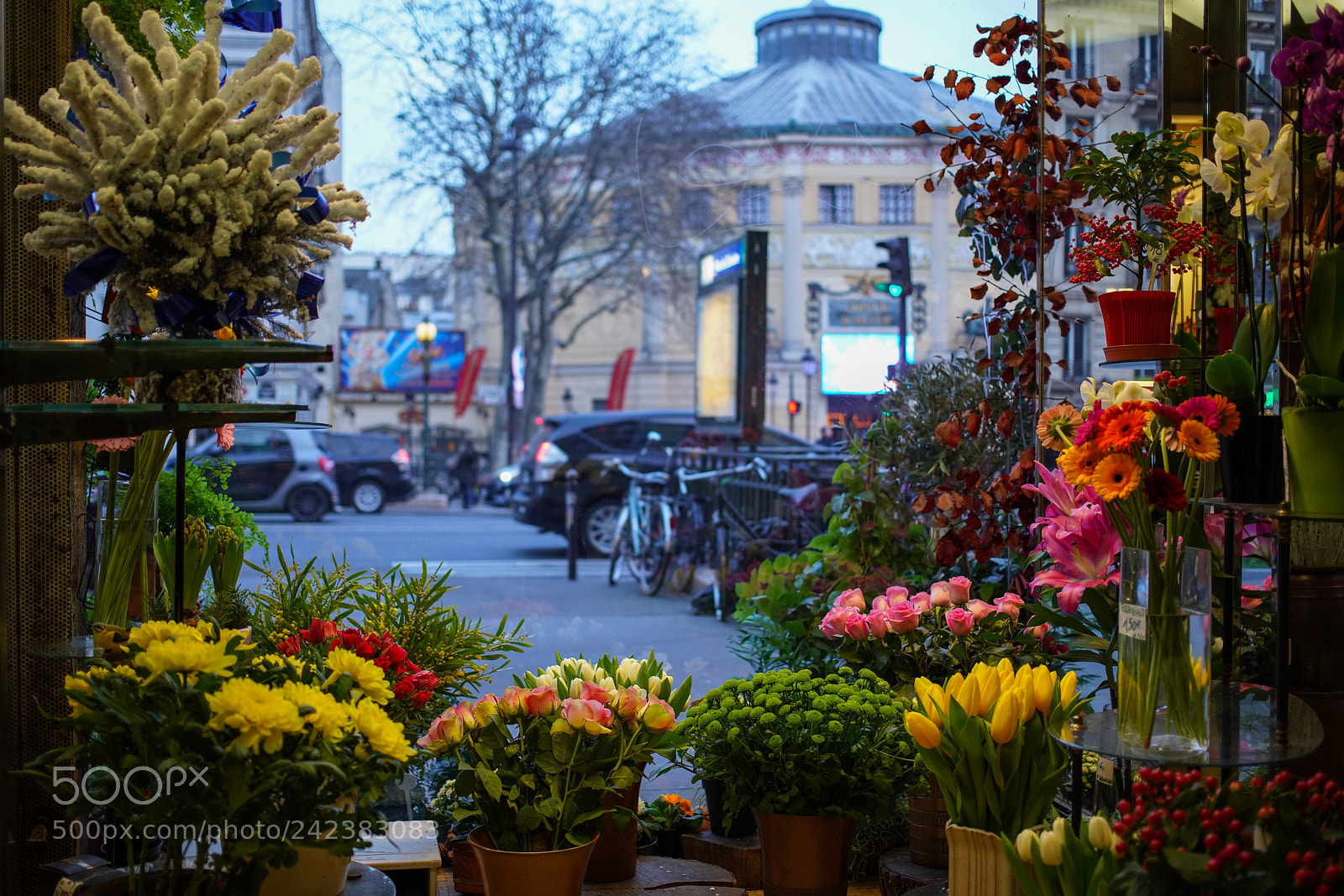 Sony a7R III sample photo. Untitled photography