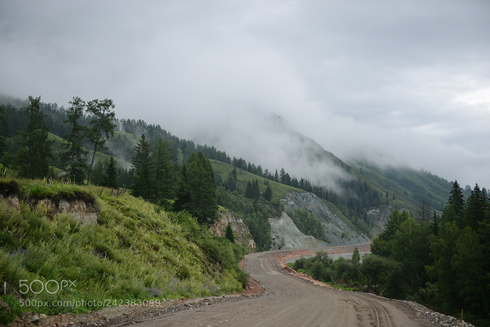 Nikon D800E sample photo. Altai photography
