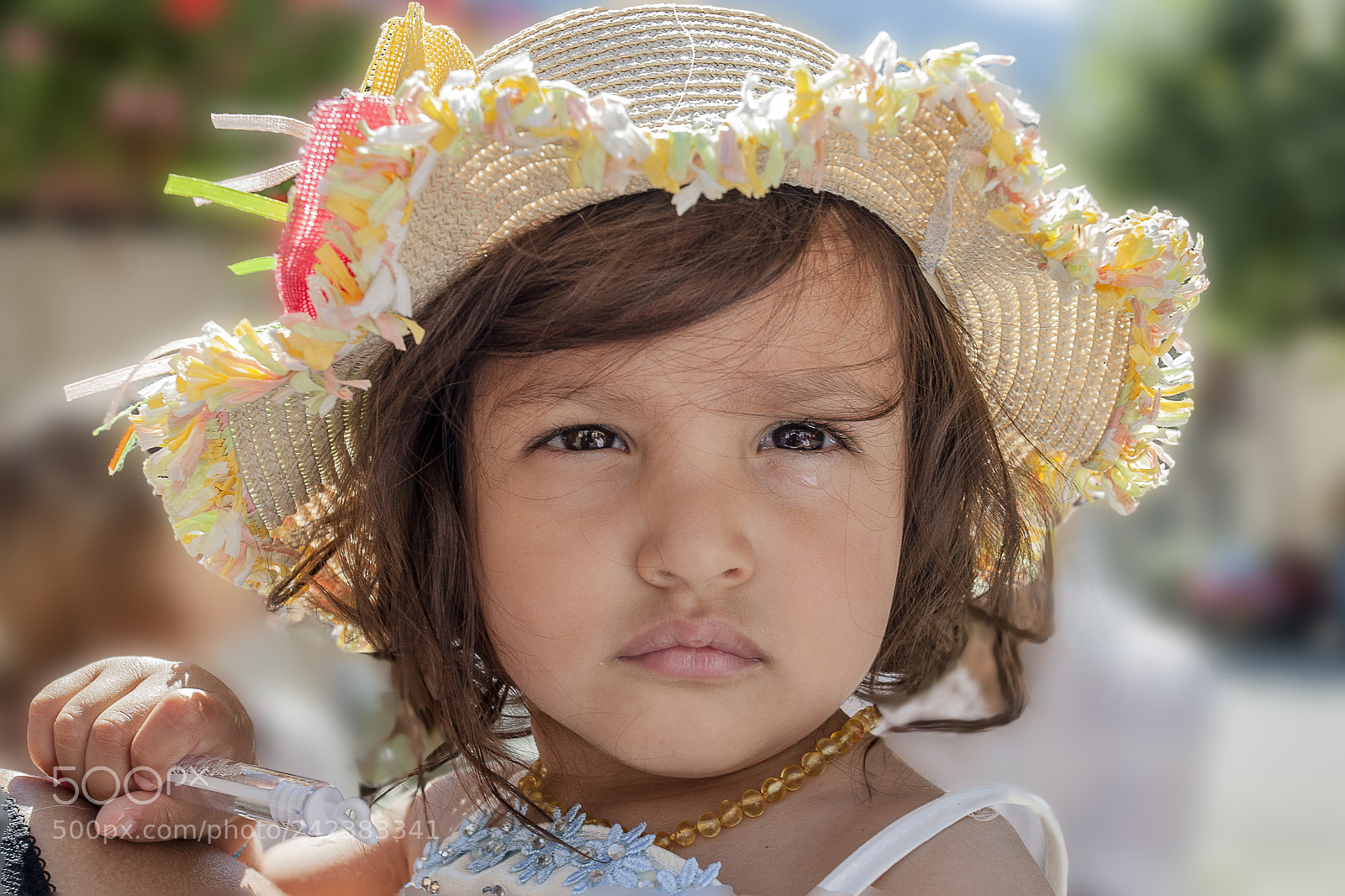Canon EOS-1D Mark III sample photo. Mdp photography