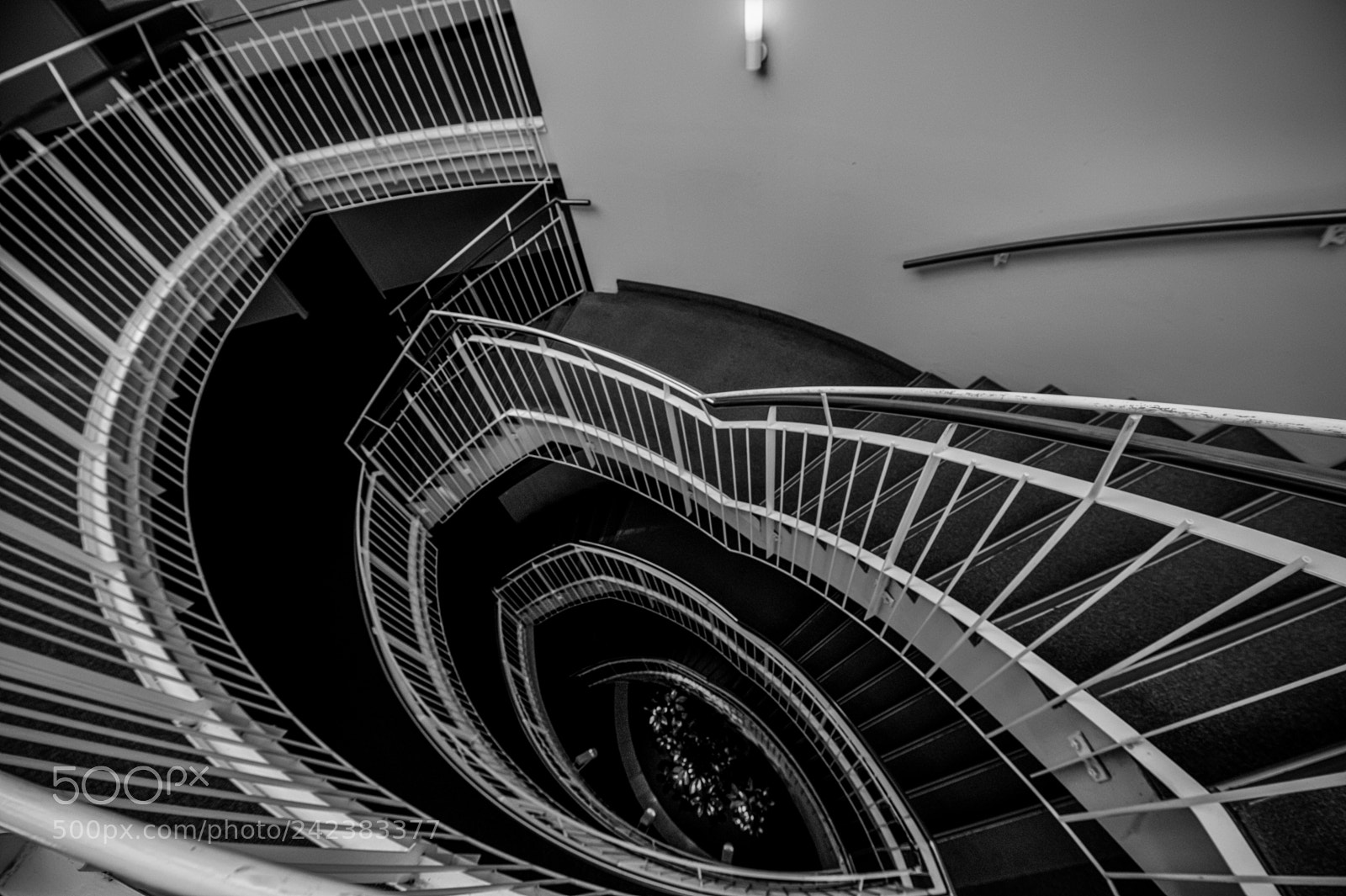 Nikon D4 sample photo. Vertigo photography
