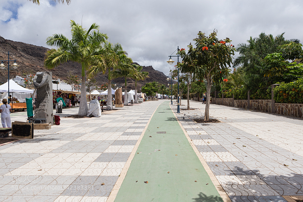 Canon EOS-1D X sample photo. Puerto rico photography