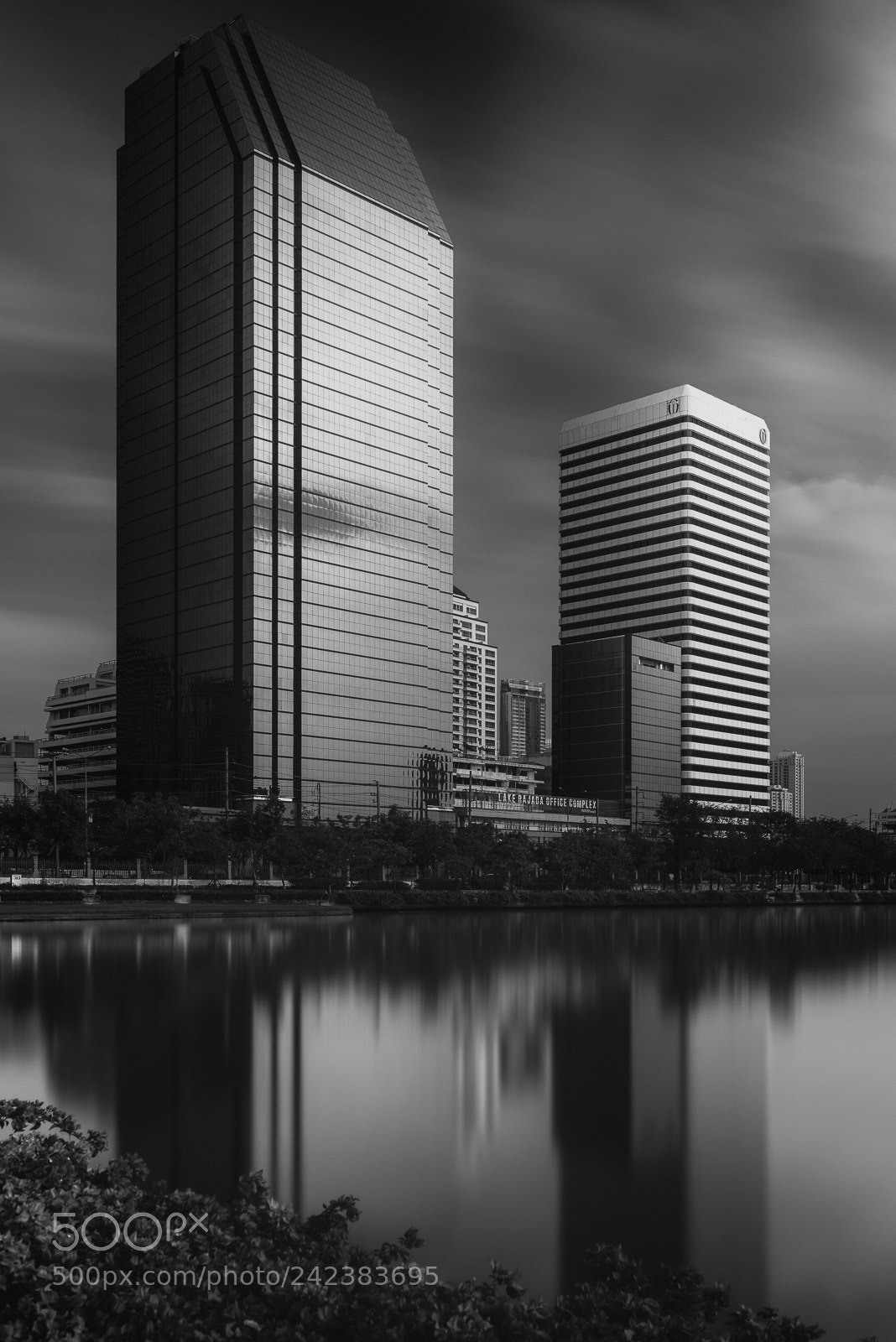 Nikon D810 sample photo. Interconnectedness photography