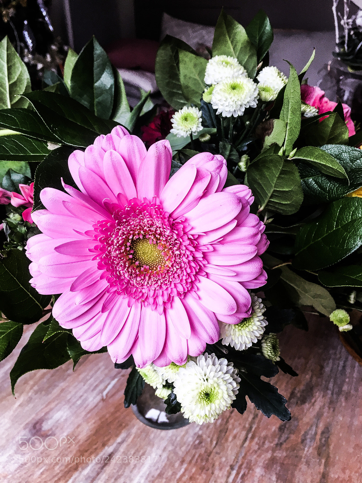 Apple iPhone 6s sample photo. Untitled photography