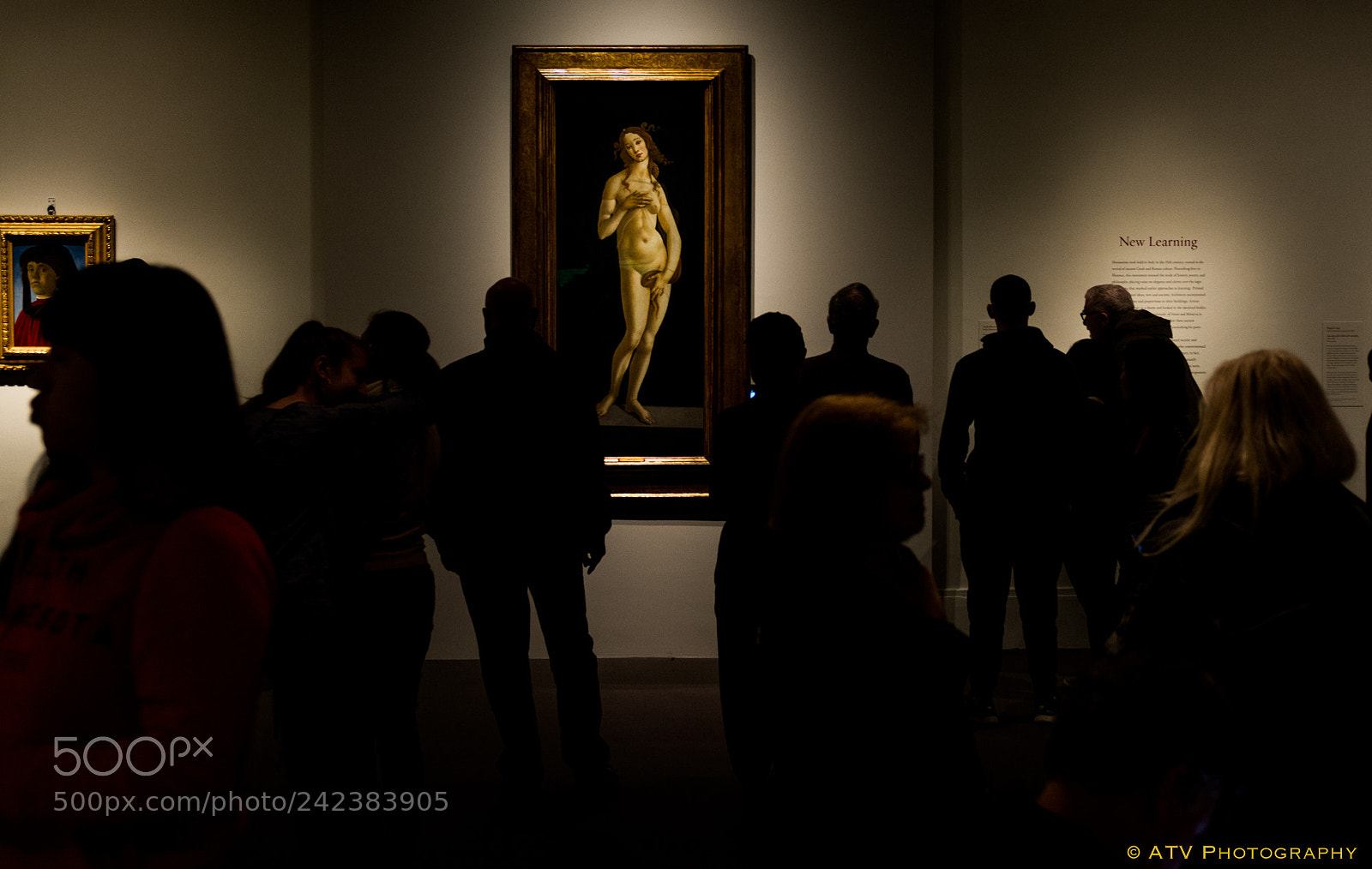 Nikon D7100 sample photo. Museum of fine arts photography