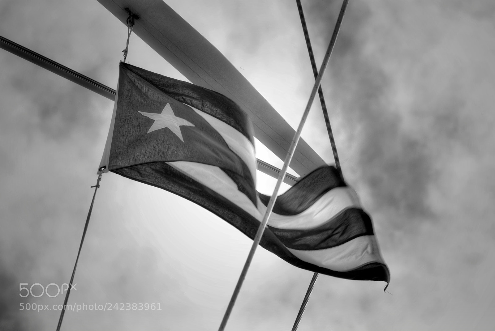 Nikon D3000 sample photo. Viva la revolución photography
