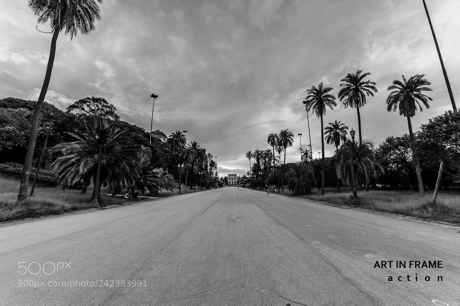Nikon D7200 sample photo. Art photography