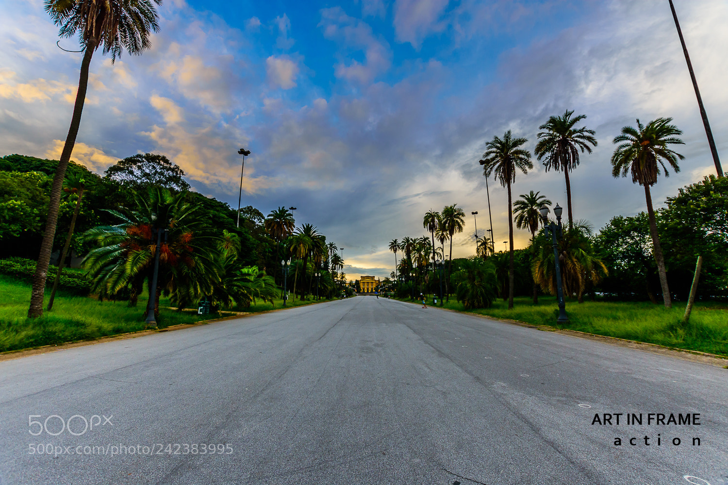 Nikon D7200 sample photo. Art photography