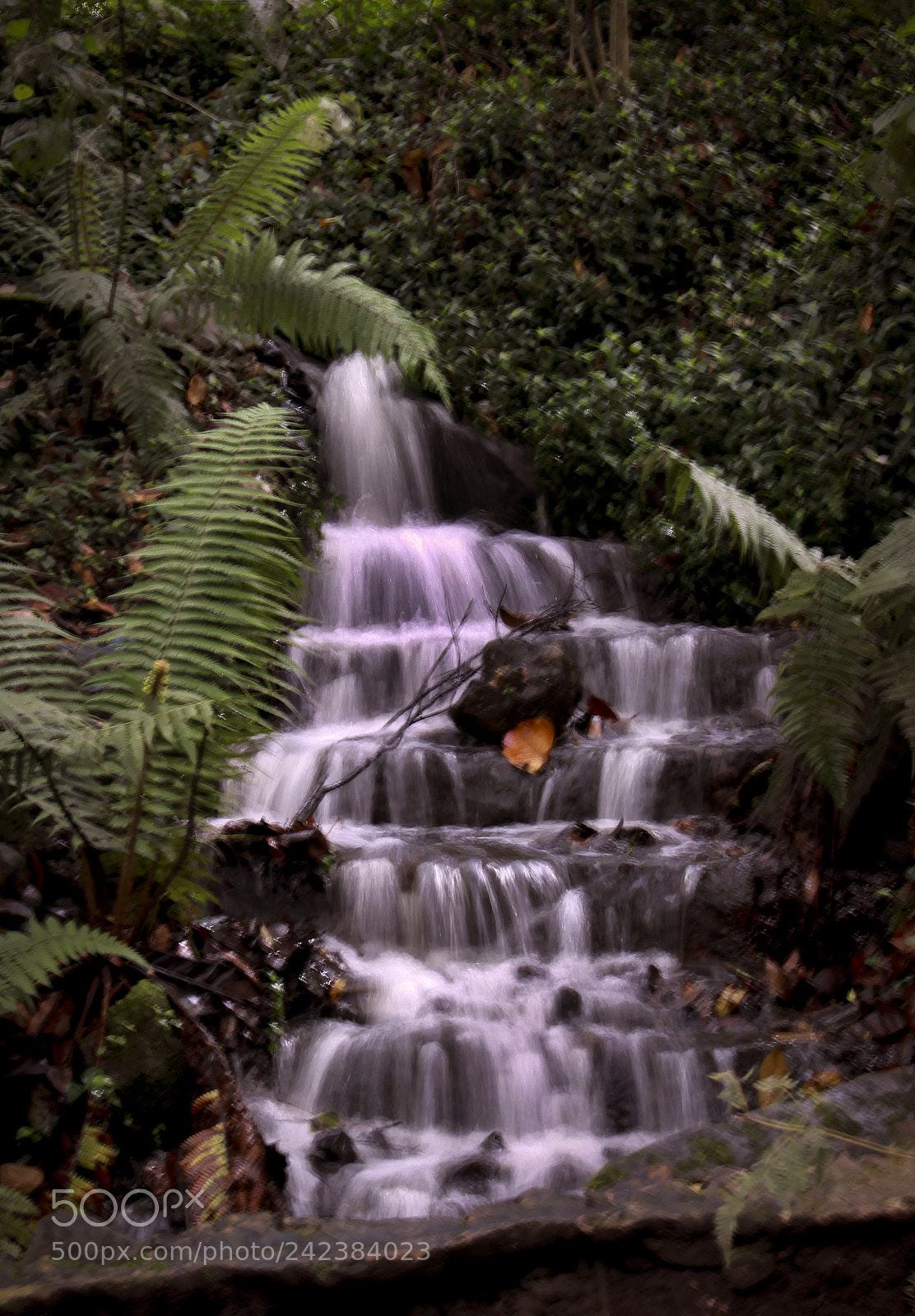 Canon EOS 50D sample photo. Waterfall photography