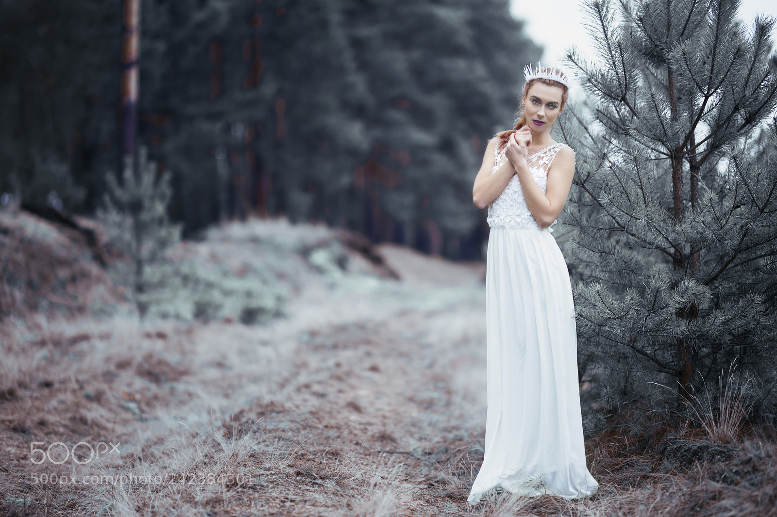 Sony a7 II sample photo. Petra photography
