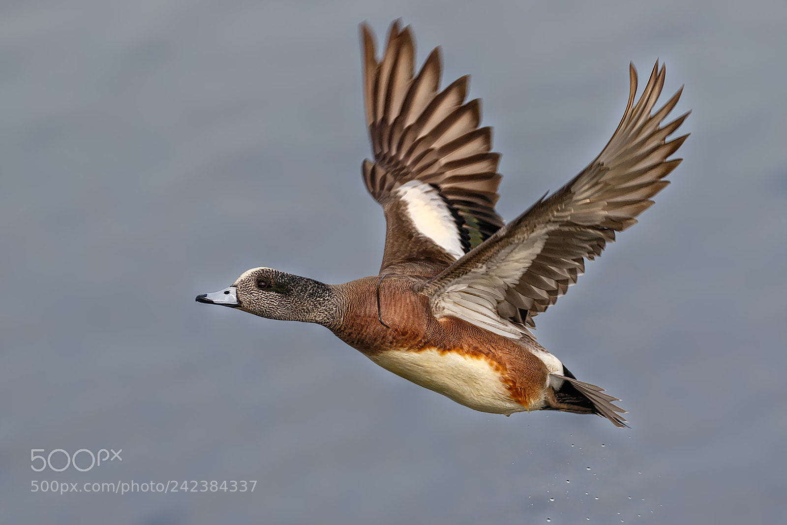 Canon EOS 7D Mark II sample photo. After the take-off photography