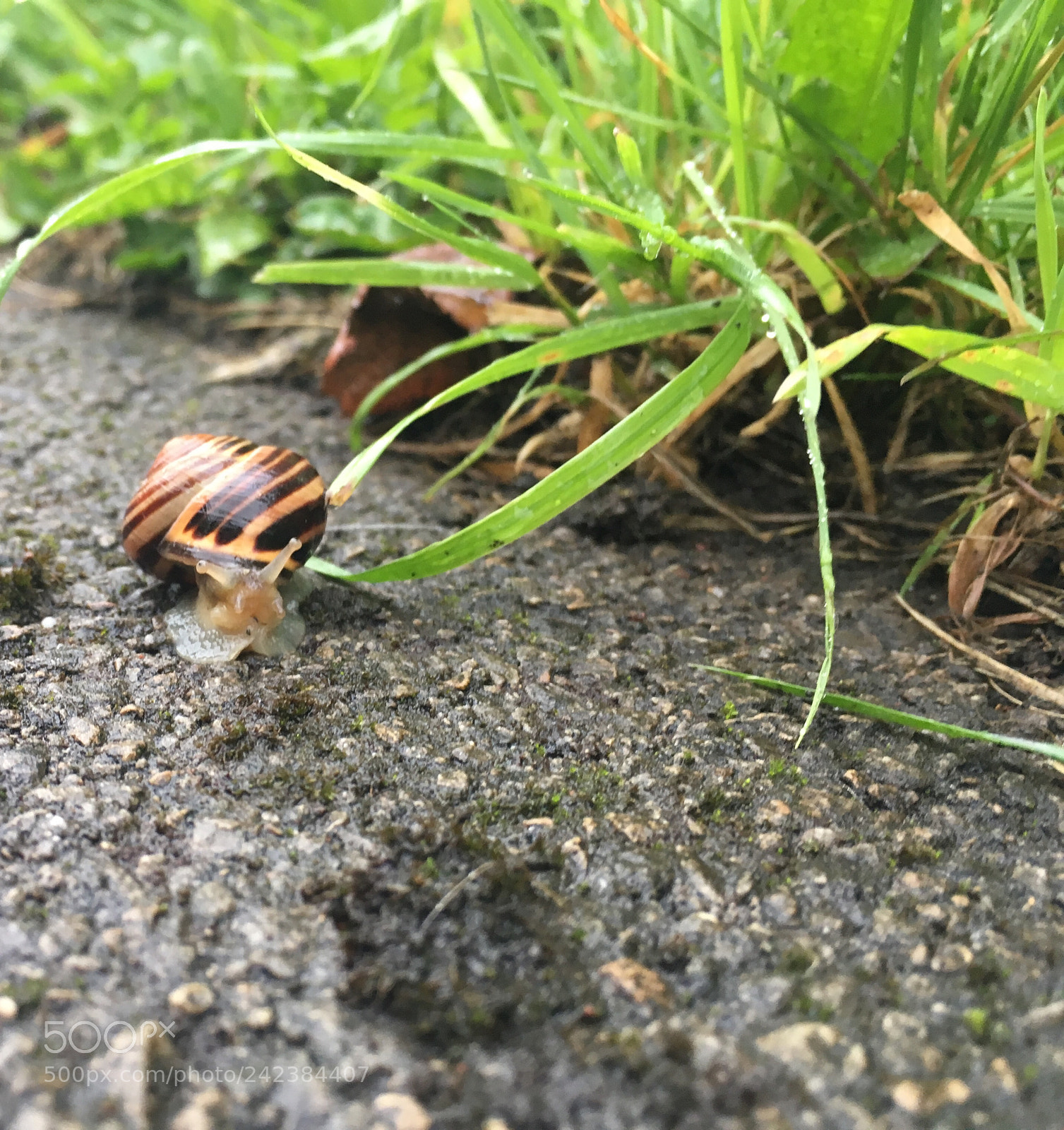 Apple iPhone SE sample photo. Untitled photography