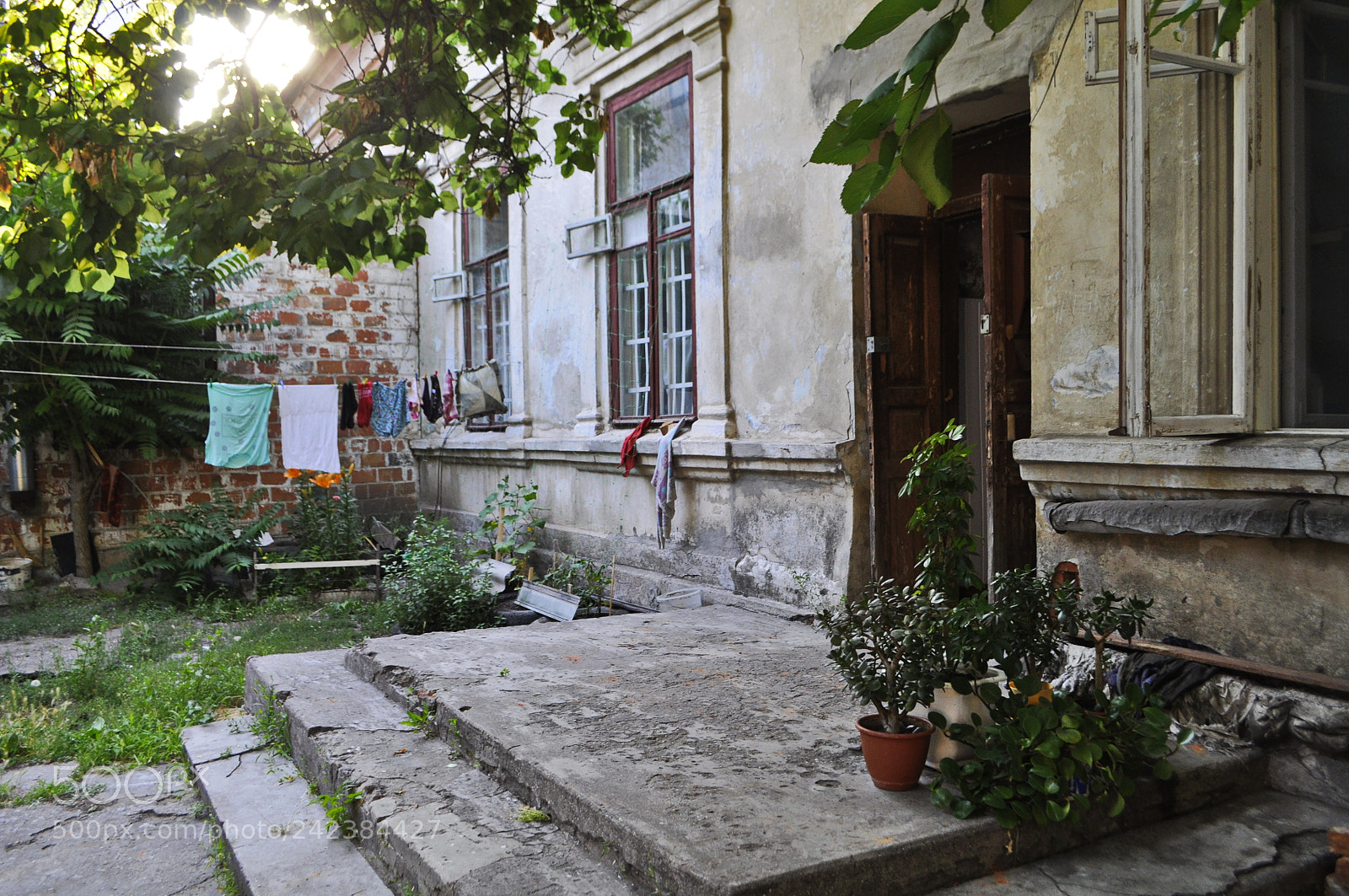 Nikon D5000 sample photo. Garden photography