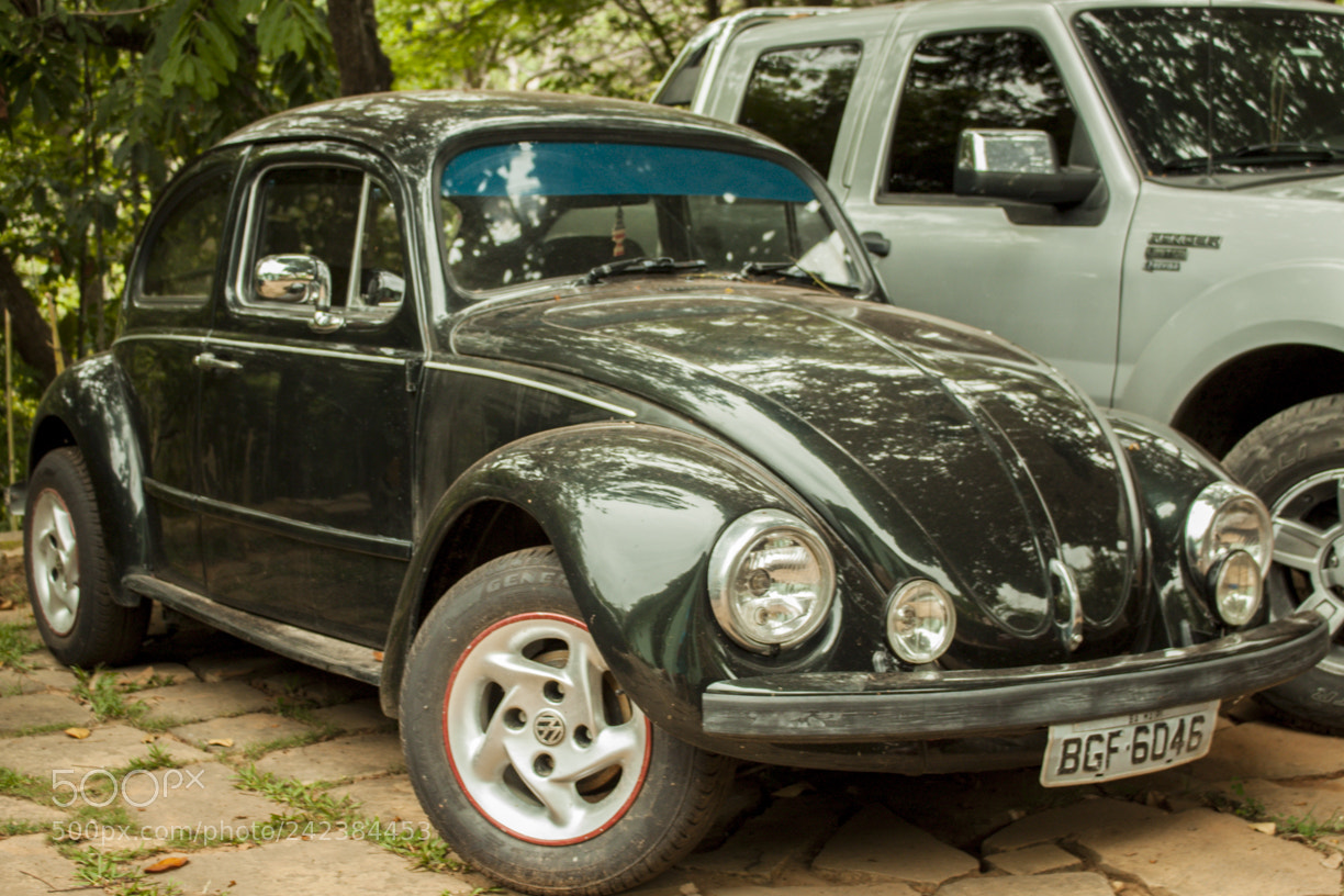 Canon EOS 500D (EOS Rebel T1i / EOS Kiss X3) sample photo. Fusca - volkswagen photography
