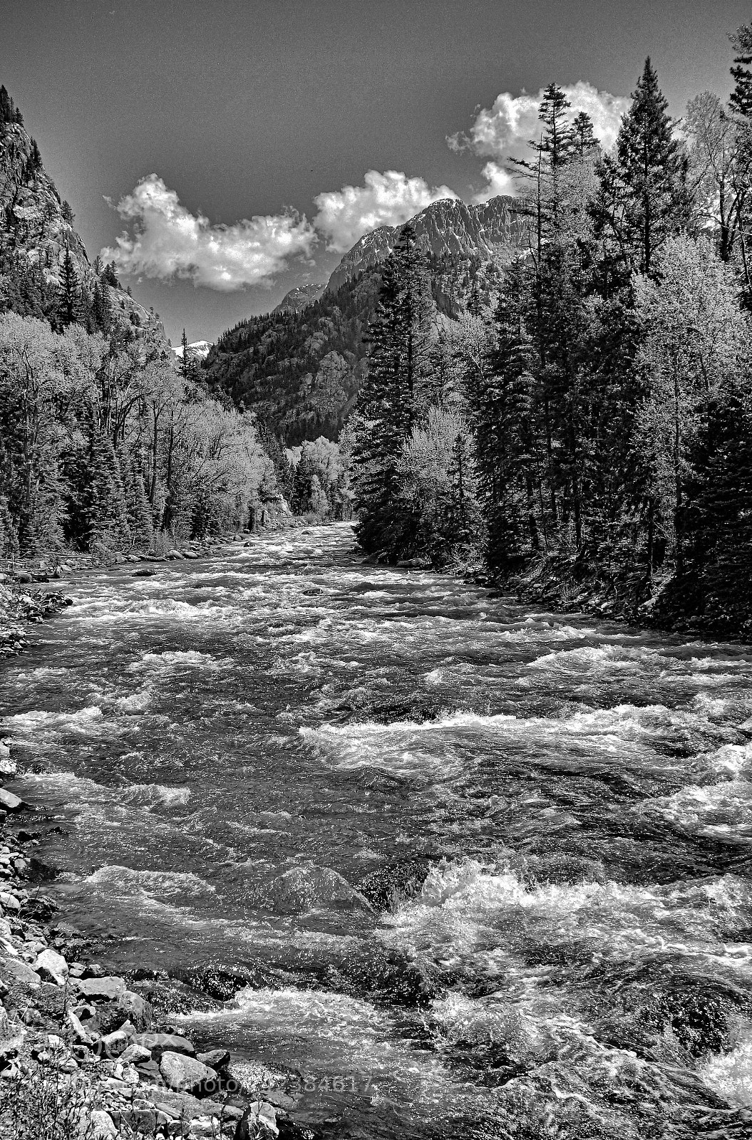 Sony Cyber-shot DSC-RX100 sample photo. Las animas river vista photography