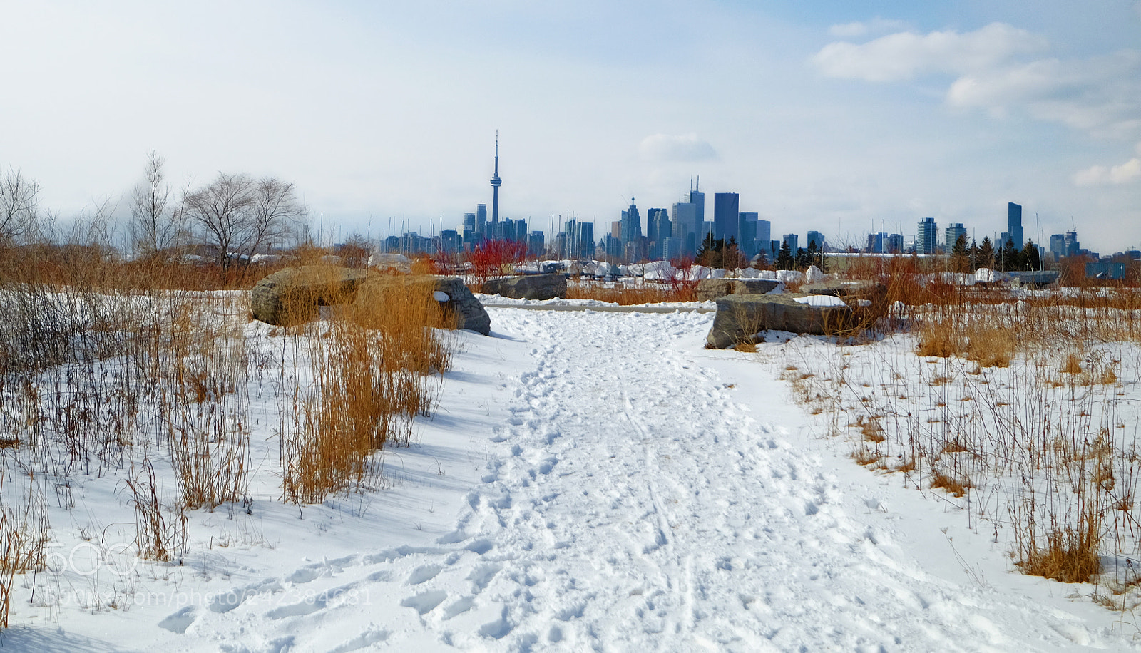 Fujifilm X-T10 sample photo. Winter colours photography