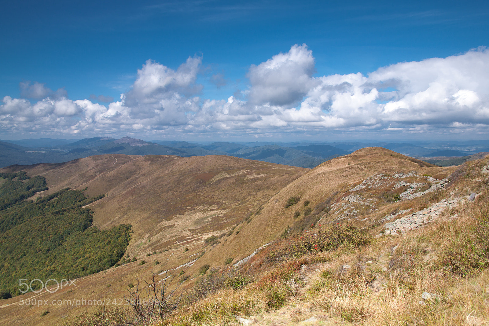 Canon EOS 5D sample photo. Bieszczady photography