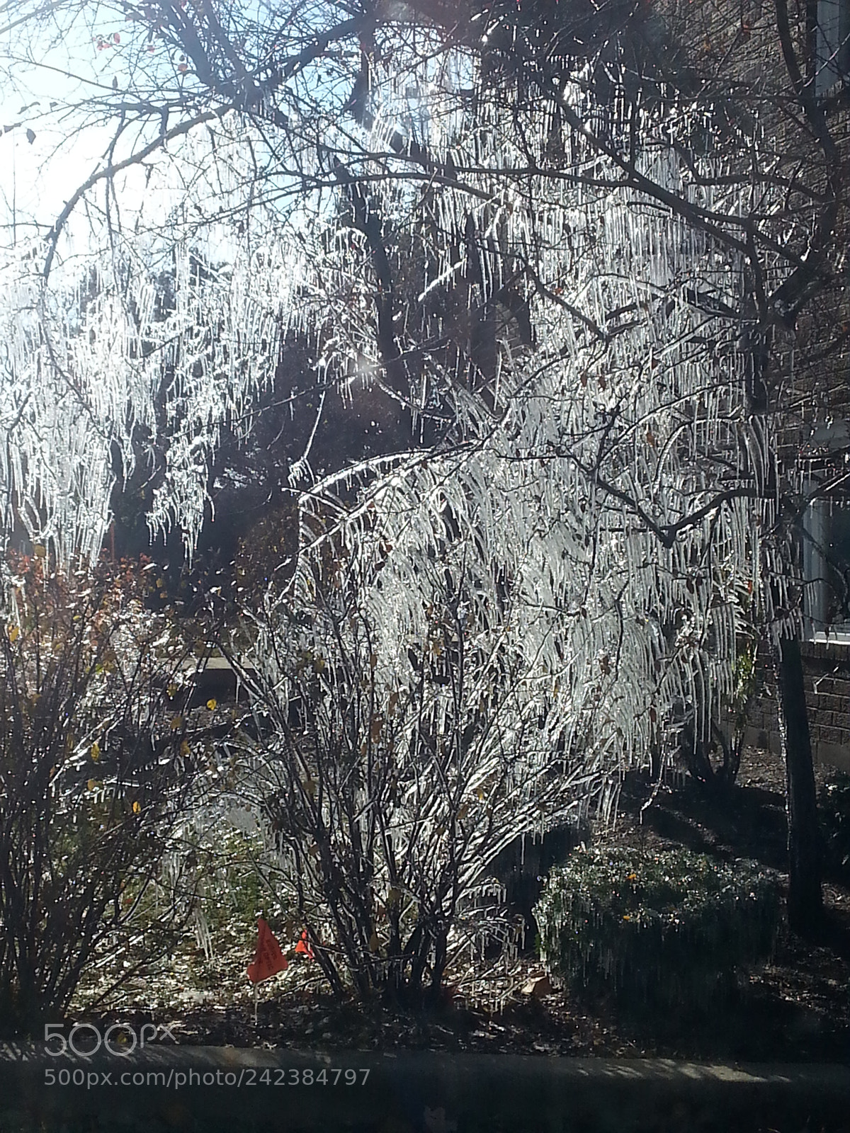 Samsung Galaxy S3 sample photo. Untitled photography