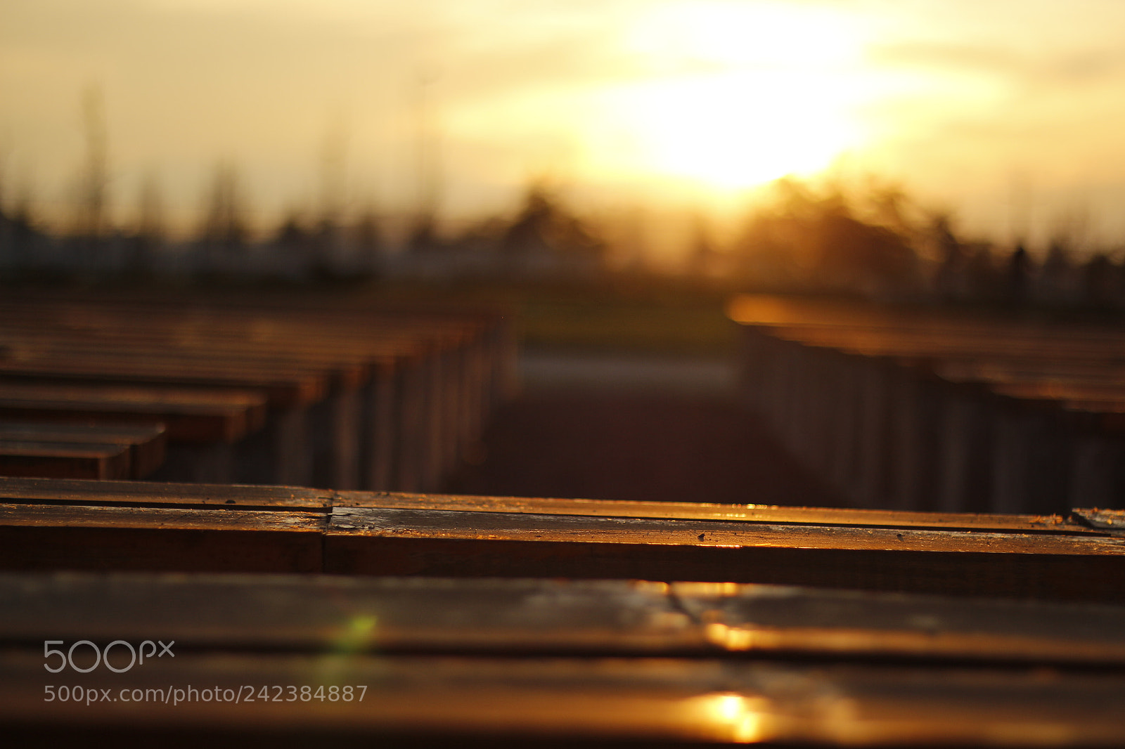 Canon EOS 700D (EOS Rebel T5i / EOS Kiss X7i) sample photo. Tarde de invierno photography