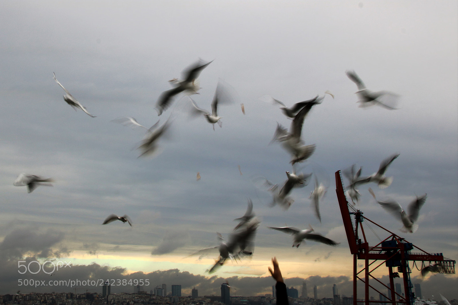 Canon EOS 750D (EOS Rebel T6i / EOS Kiss X8i) sample photo. Aperitif in istanbul photography