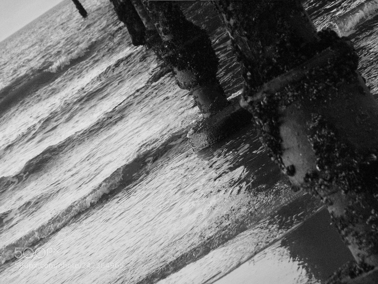 Canon POWERSHOT S5 IS sample photo. Untitled photography
