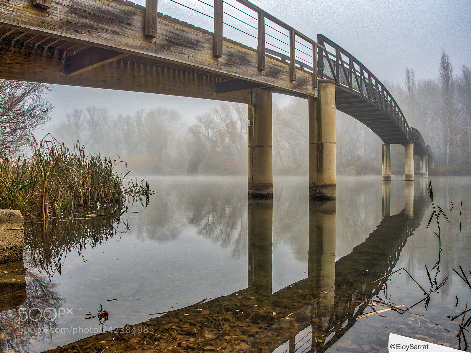 Olympus OM-D E-M5 II sample photo. The beauty of the photography