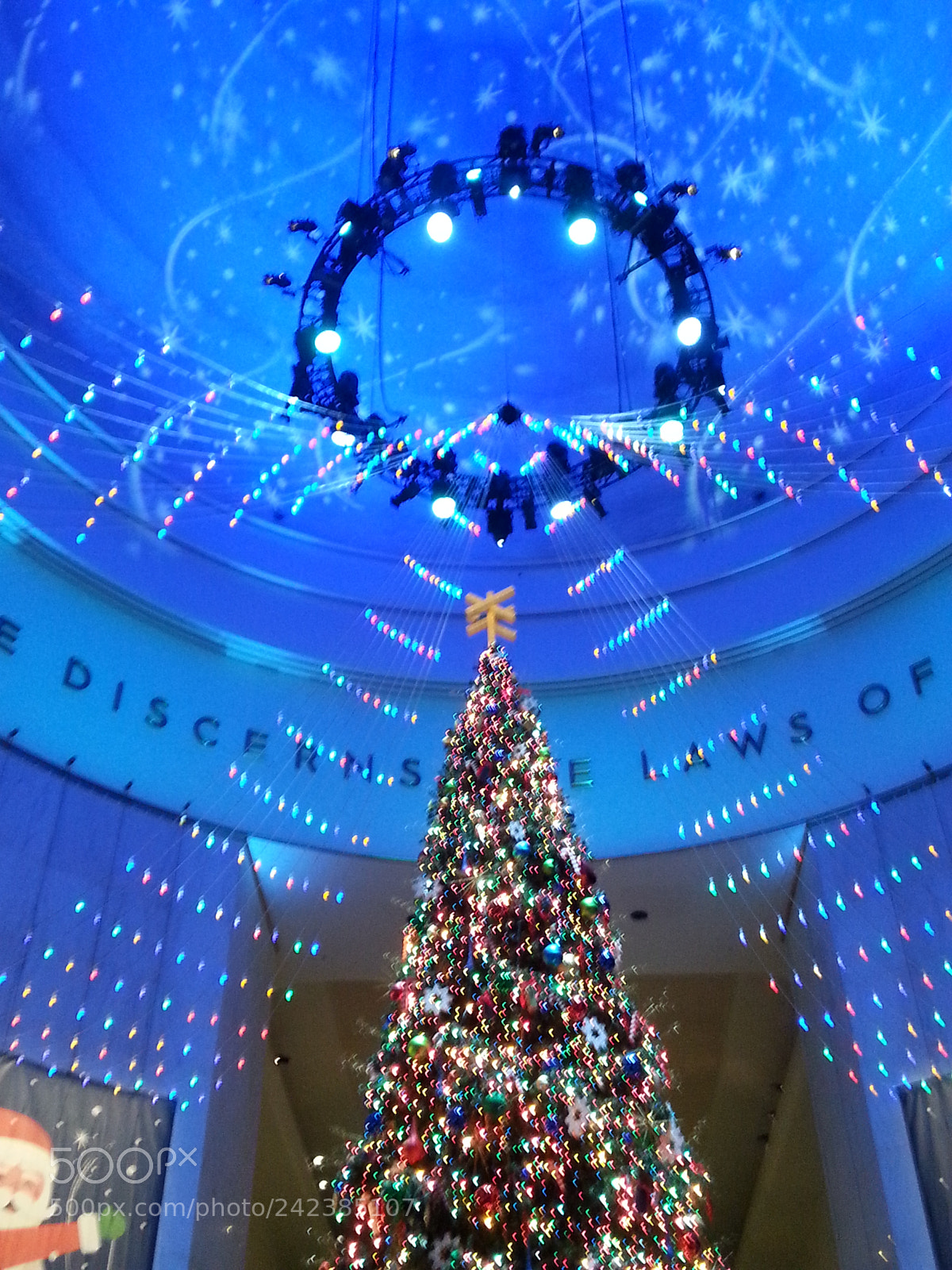 Samsung Galaxy S3 sample photo. Untitled photography