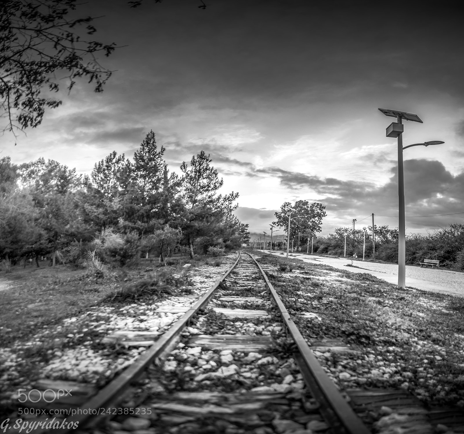 Nikon D700 sample photo. Athens park dawn photography