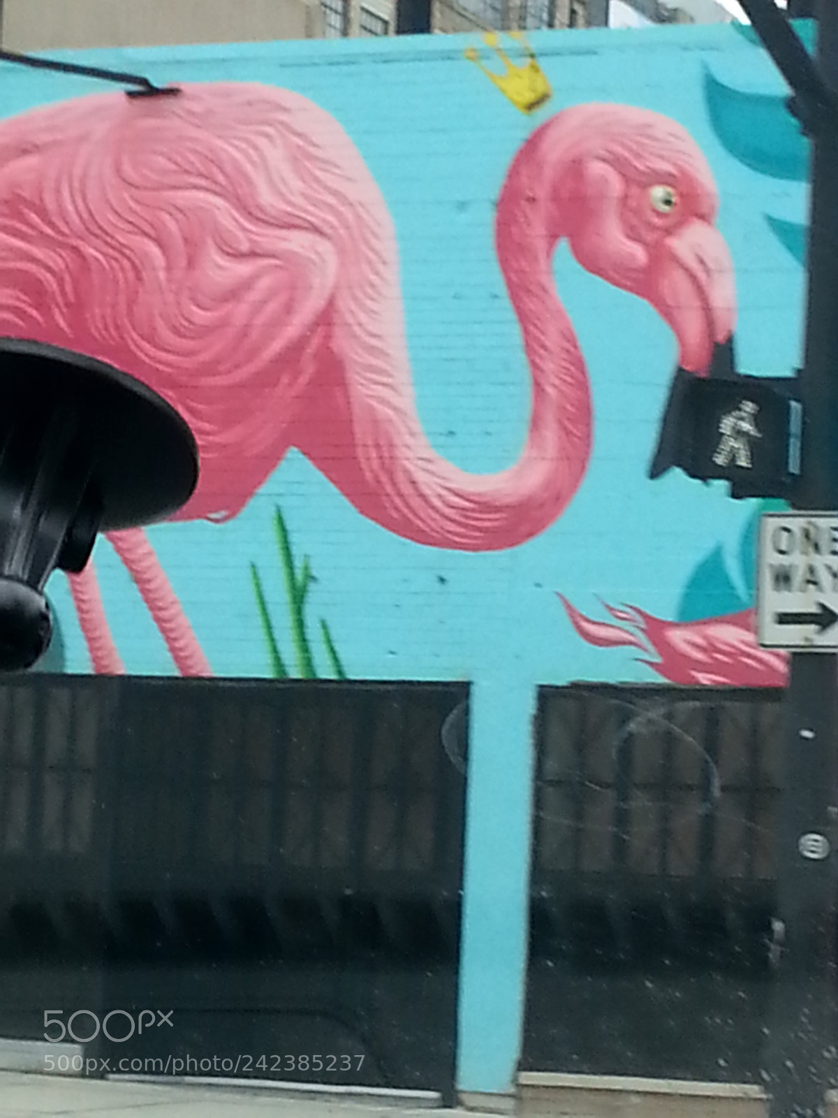 Samsung Galaxy S3 sample photo. Untitled photography