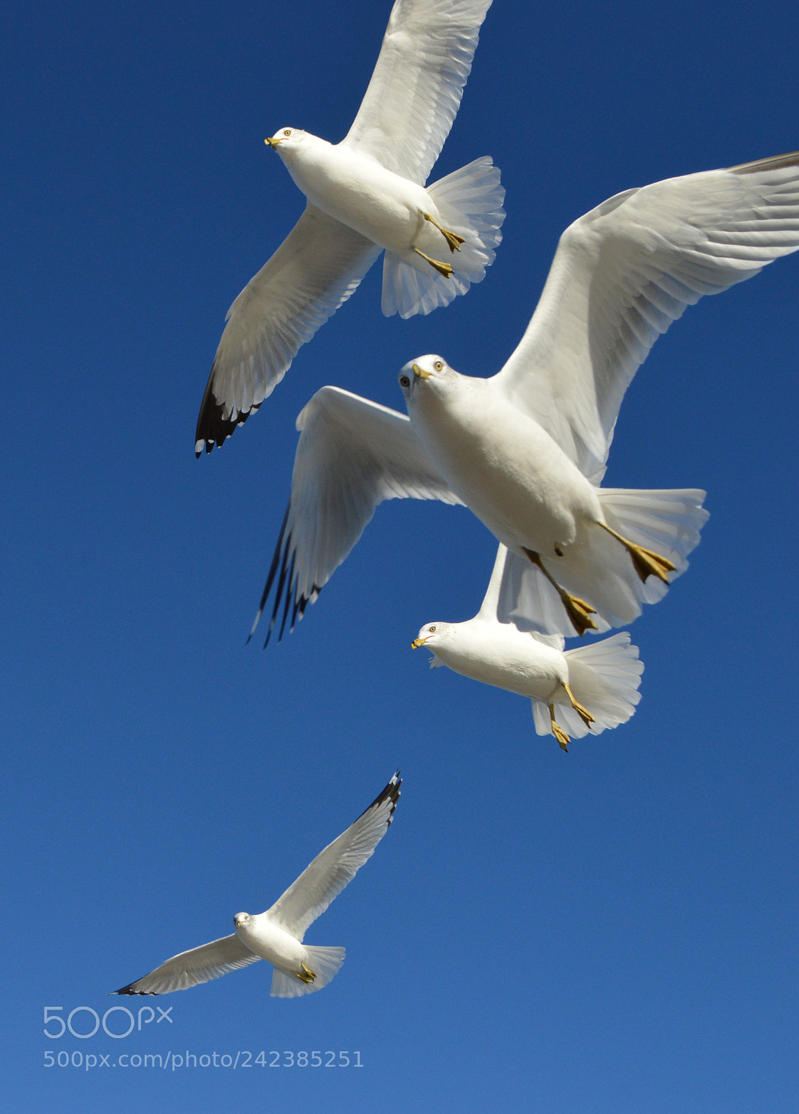 Nikon D3200 sample photo. On the air photography