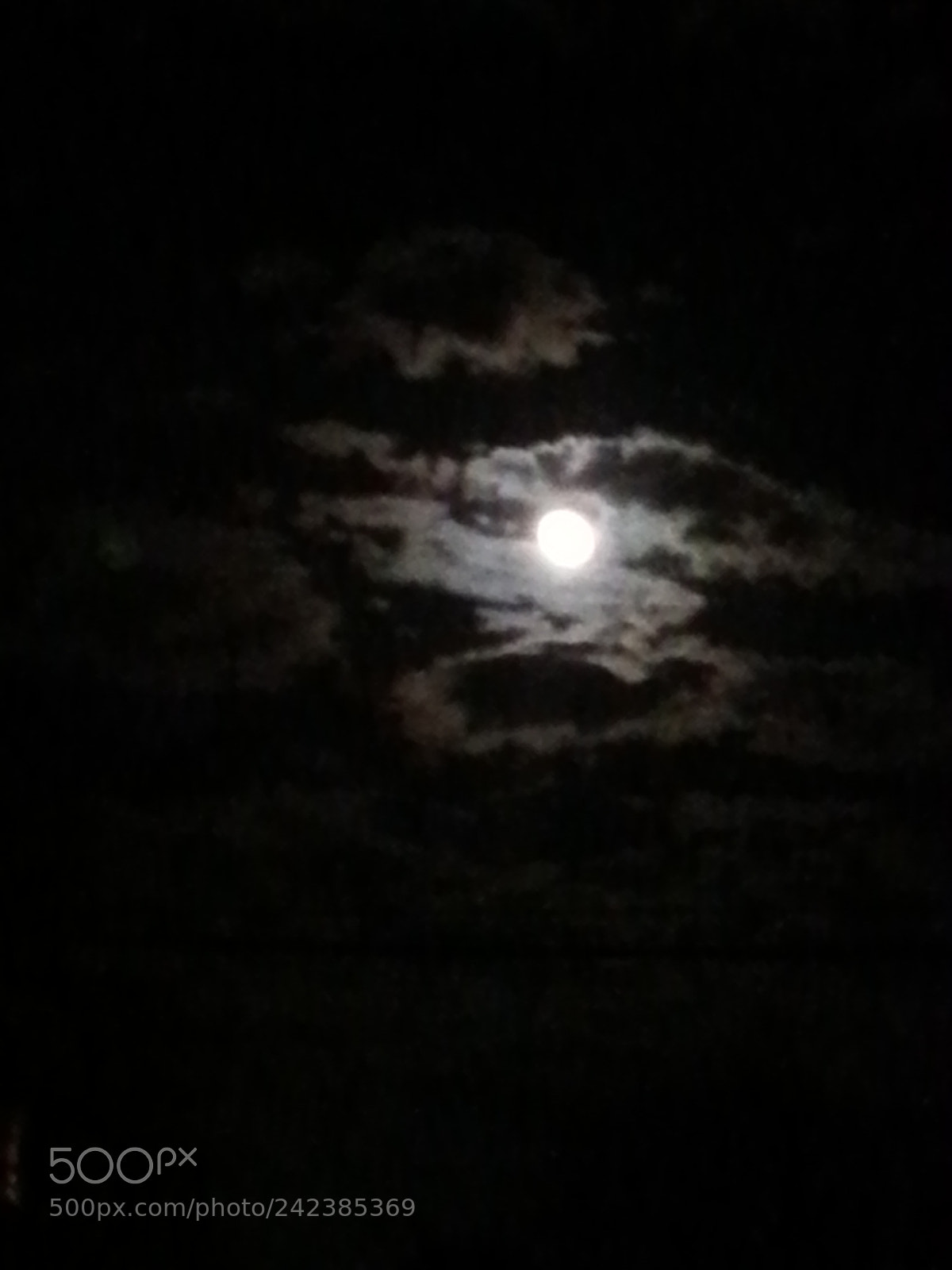 Samsung Galaxy S3 sample photo. Untitled photography