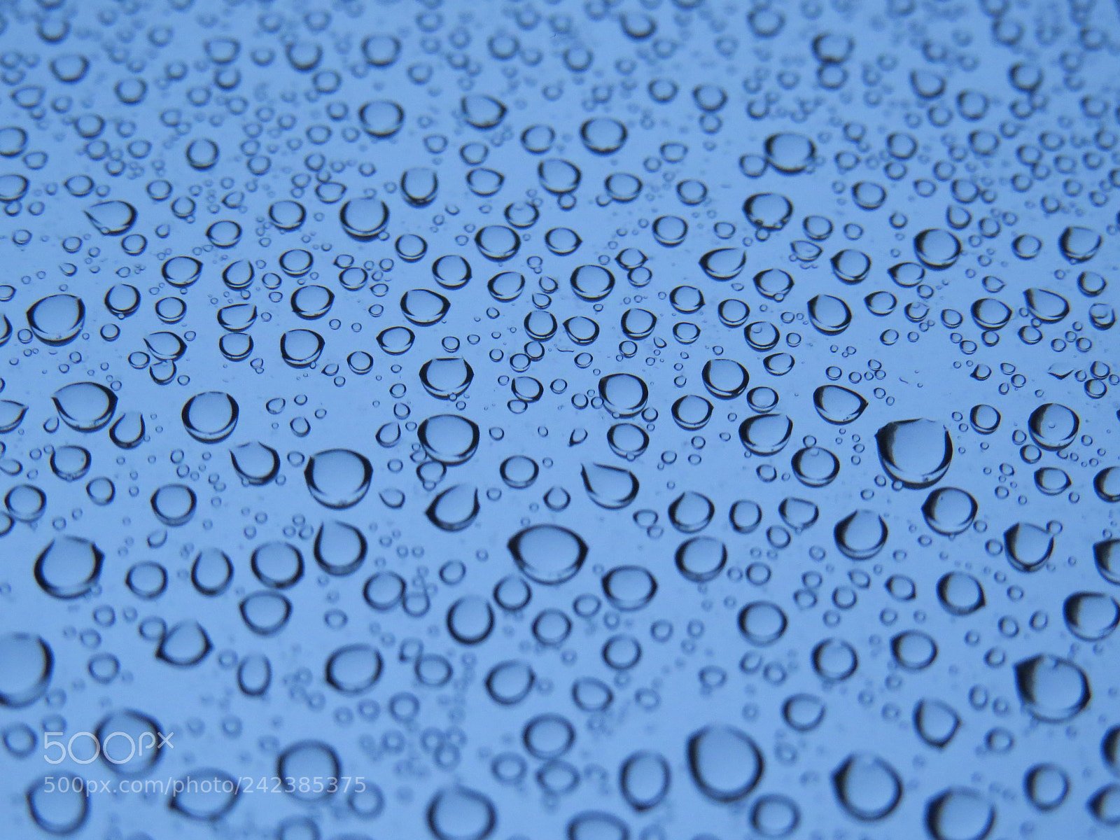 Canon PowerShot SX50 HS sample photo. Img photography