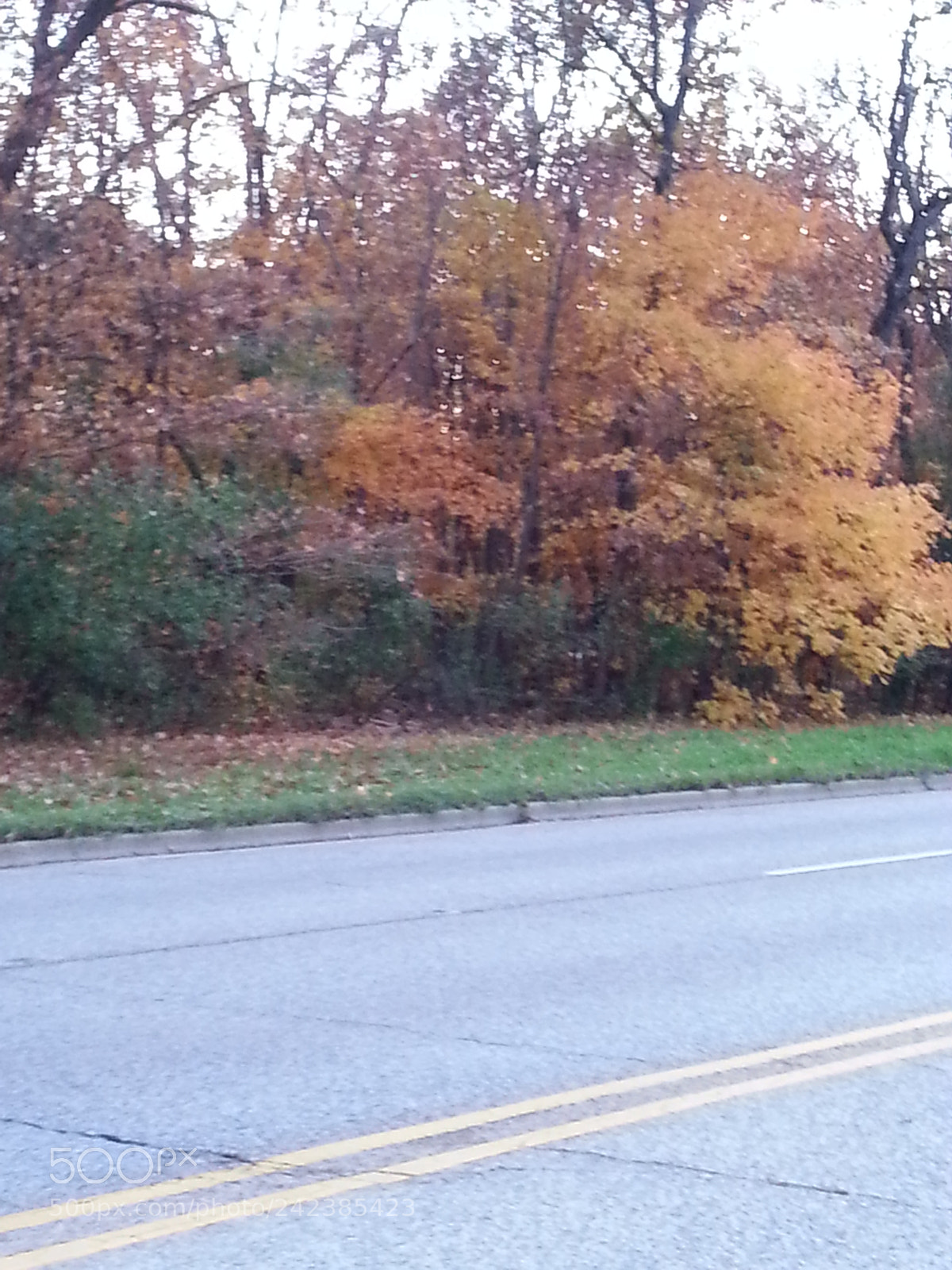 Samsung Galaxy S3 sample photo. Untitled photography