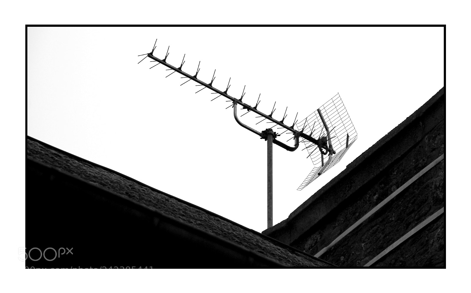 Canon EOS 550D (EOS Rebel T2i / EOS Kiss X4) sample photo. Antenne photography