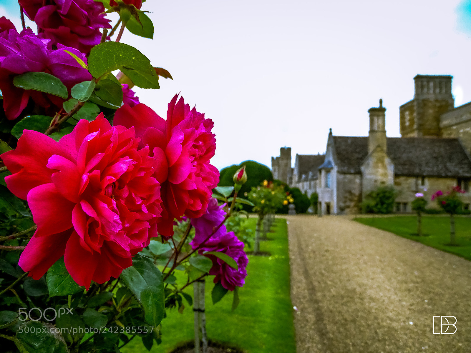 Sony Cyber-shot DSC-HX400V sample photo. Rockingham castle flowers. photography